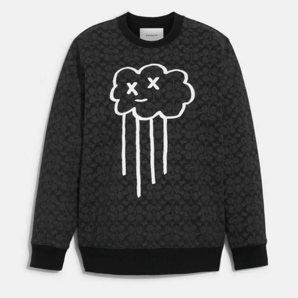 Coach Rain Cloud Sweatshirt In Organic Cotton women Size S  NWT